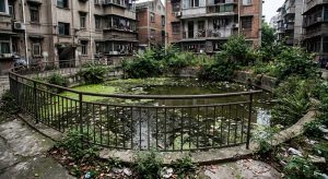 为什么很多小区的雨水收集系统成了“臭水池”？如何杜绝水质发黑发臭？