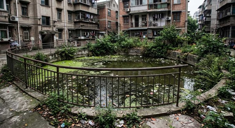 为什么很多小区的雨水收集系统成了“臭水池”？如何杜绝水质发黑发臭？