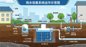 雨水收集系统是如何运作的？从收集到再利用的 4 个关键步骤